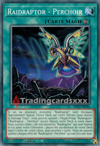 Raidraptor - ,