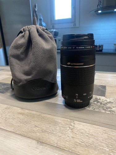 Objectif zoom canon - objectif, ef