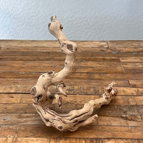 Sandblasted grapewood branch - sandblasted,