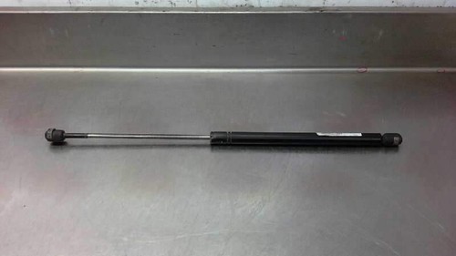Trunk shock absorbers doors - trunk,