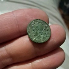 Magnifique Centenionalis ou