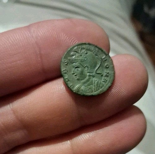Magnifique centenionalis - magnifique, ou