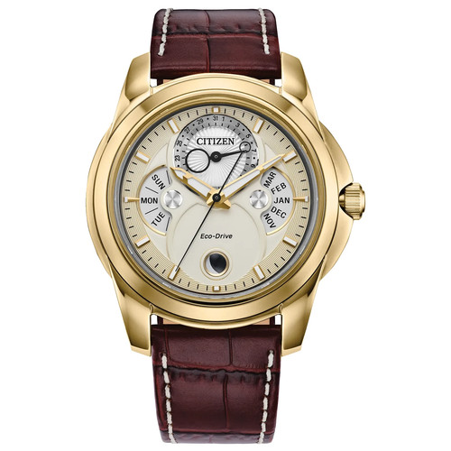 Citizen men calendrier - citizen, men's