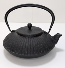 🫖 Théière en fonte couleur noir style japonais très lourde