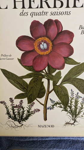 Herbier des quatre saisons - l'herbier,