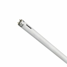 Néon Tube SYLVANIA Warm