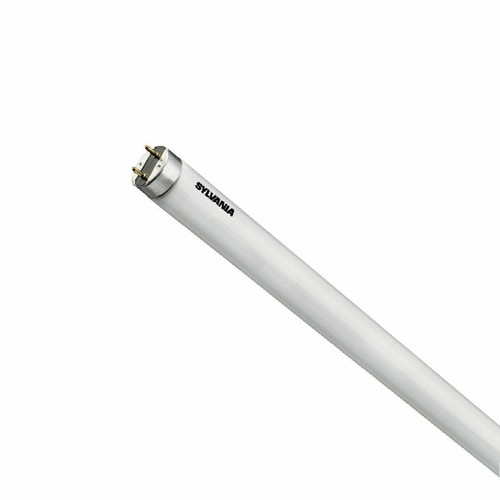 Néon tube sylvania - néon,