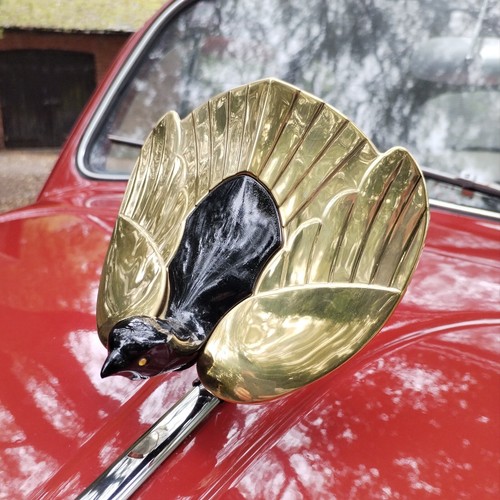 Oiseau mascotte wirbulator - mascotte,