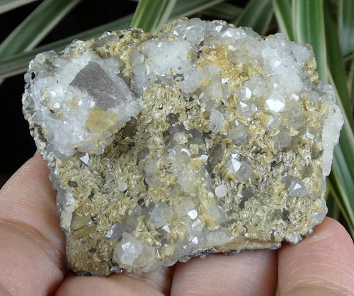 Sidérite sphalérite quartz - sphalérite,