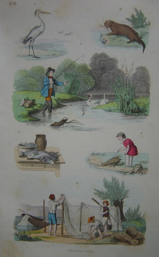 Gravure etang pêche - gravure,