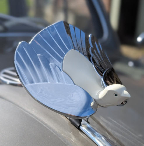 Oiseau mascotte coco capot - oiseau,