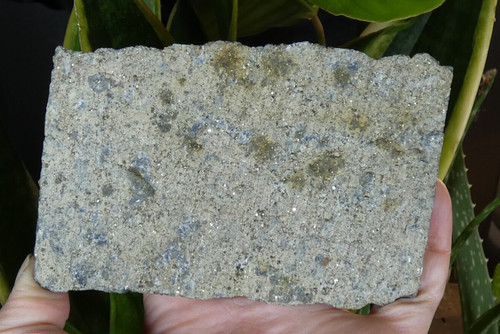 Pyrite sur ardoise - sur,