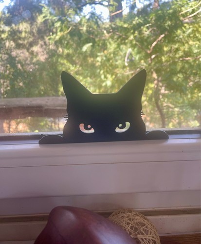 Chat noir qui - noir,