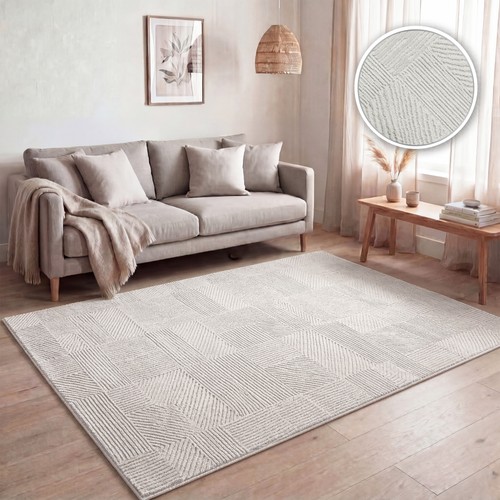 Tapis salon poil - tapis,
