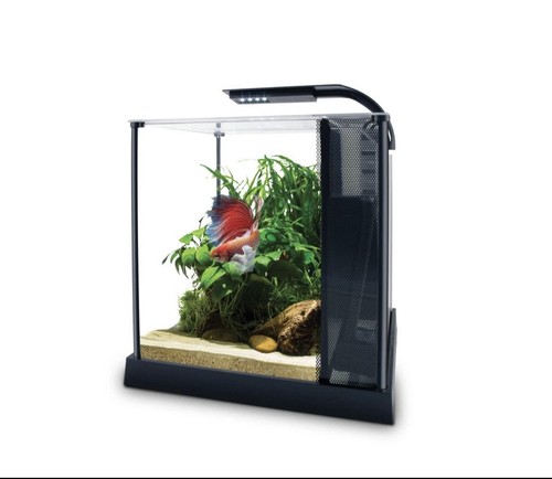 Fluval betta premium aquarium - betta,