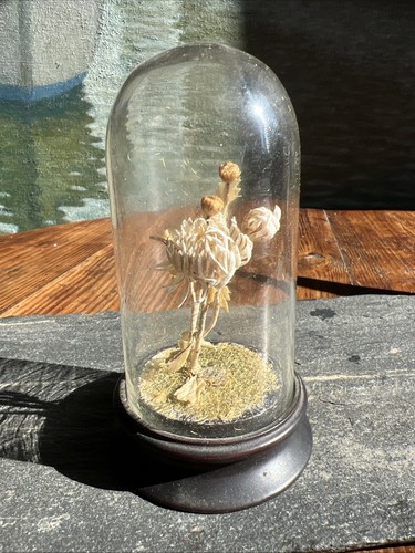 Globe verre miniature - miniature, &