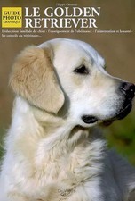 Le Golden retriever, Filippo