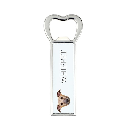 Whippet lévrier anglais - lévrier,