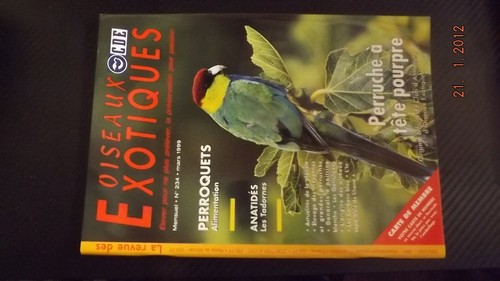Revue oiseaux exotiques - revue,