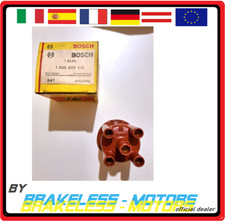 COQUE SPINTEROGENO BOSCH