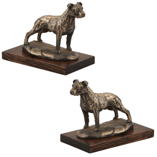 American staffordshire - american,