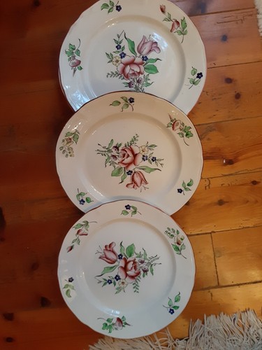 Assiettes plates boch la - 8,