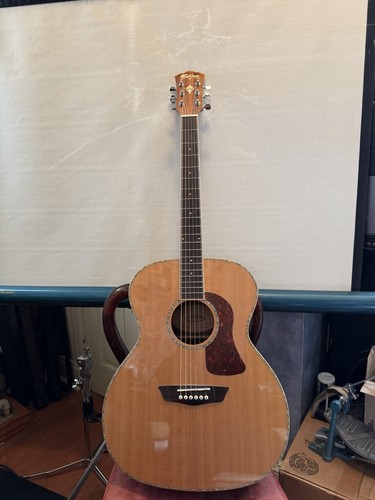 Washburn hg75seg acoustic - washburn, hg75seg-o
