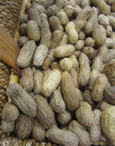 Arachide ou cacahuète - ou,