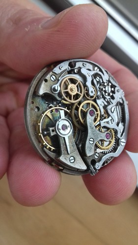 Angelus chronodato 217 - chronodato,
