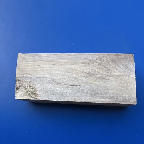 Bois érable sycomore - bois, de