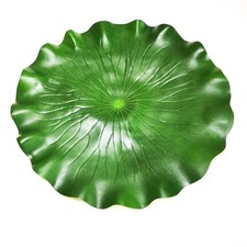 Lot de 8 plantes d'étang