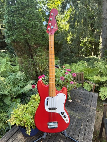 Squier fender modified - fender,