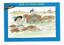 POSTCARD - VIVE LA THALASSO - HUMOROUS