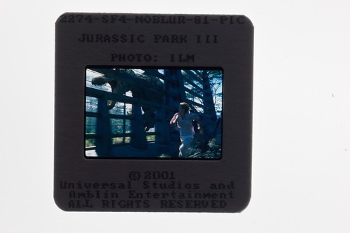 Jurassic park iii tea - iii, leoni
