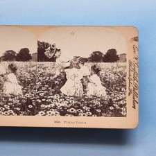 Stereoview Card 3D Real Photo C1900 Victorian Fashion Lady Children Pick Flowers