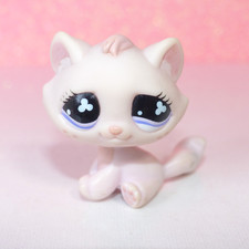 authentic littlest LPS PETSHOP 606 chat GOUTTIERE TABBY CAT kitty hasbro