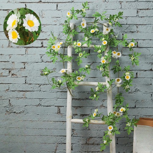 Vigne marguerite pvc - pvc, cm