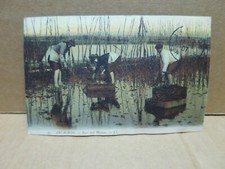 ARCACHON (33) oyster farming oyster work close-up