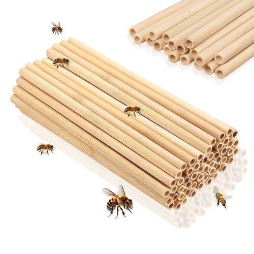 Pièces hotel insectes - a,