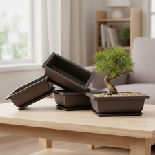 Set of 3 Shatter-Proof Bonsai