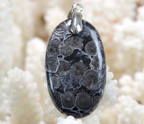 Corail fossile carats - corail,