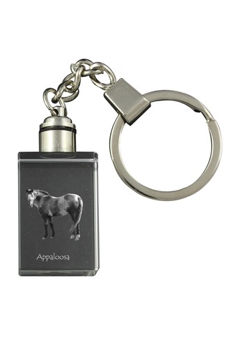 Appaloosa horloge murale - -,
