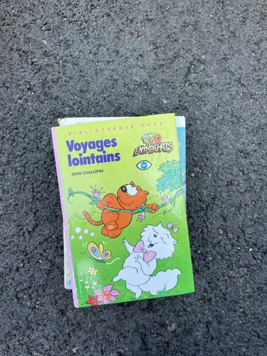 Livre entrechats voyages - livre,