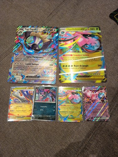 Lot cartes jambon - lot,