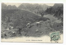 SUISSE  CHEVRES ET CHEVRIER