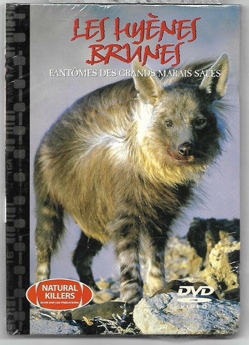 Les hyenes brunes natural - hyenes,