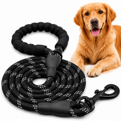 Laisse chien nylon - laisse,