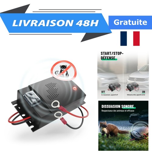 Répulsif rongeur voiture - rongeur,