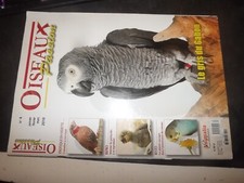 0104 Oiseaux Passion n°4 Le gris du Gabon - L'amadine à cou coupé