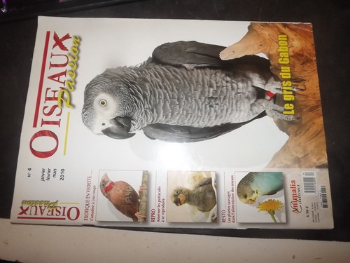 0104 oiseaux passion le - 0104, n°4